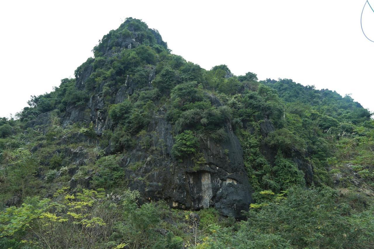Gold Plus Hotel Phong Nha Dış mekan fotoğraf