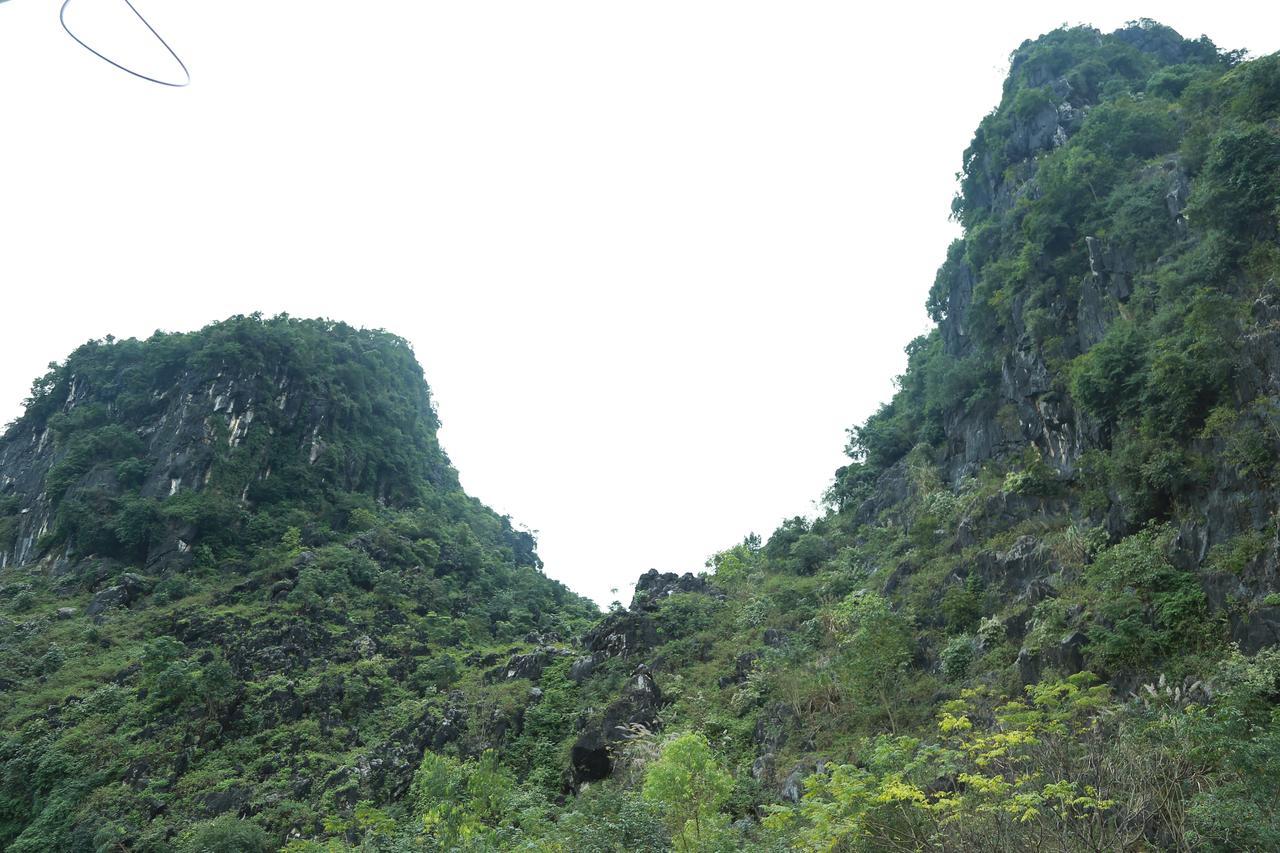 Gold Plus Hotel Phong Nha Dış mekan fotoğraf