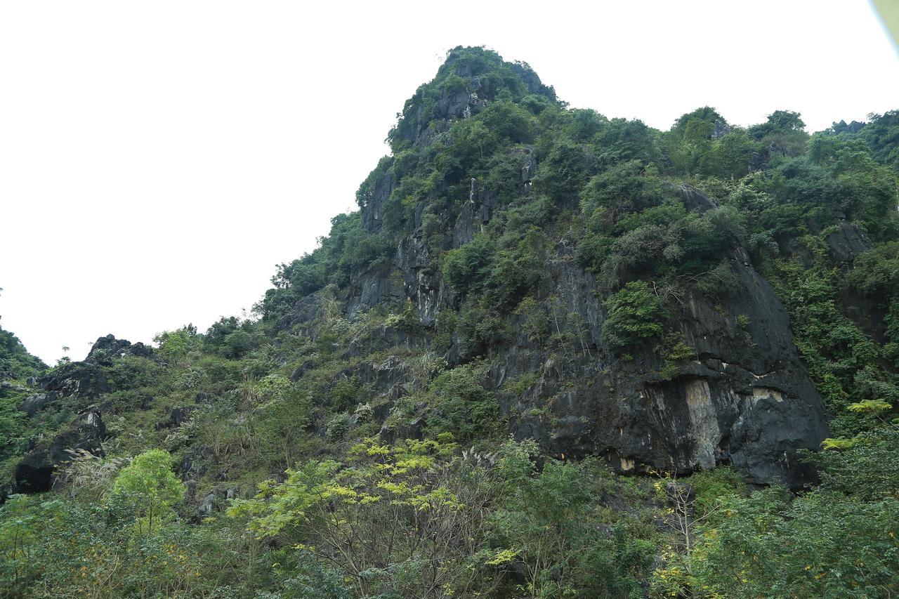 Gold Plus Hotel Phong Nha Dış mekan fotoğraf