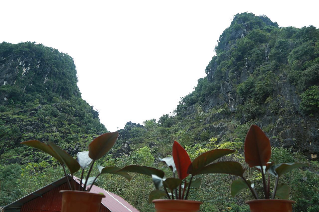 Gold Plus Hotel Phong Nha Dış mekan fotoğraf